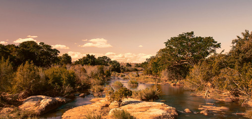 African landscape in the Kruger National Park, South Africa - obrazy, fototapety, plakaty