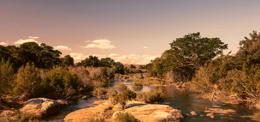 Tuinposter Afrikaans landschap in het Kruger National Park, Zuid-Afrika © Travel Stock