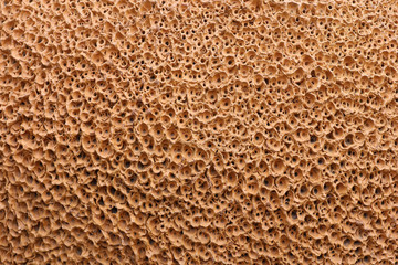 abstract soil wall texture for background.