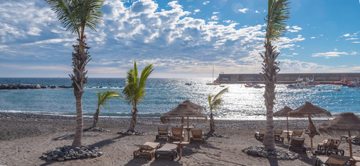 palm tree and blue esky