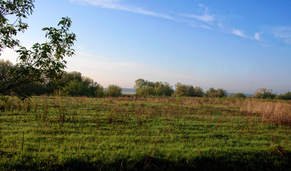 Obraz premium Morning