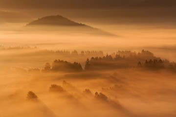 Obraz premium Beautiful summer or autumn sunrise above the forest valley of National park Bohemian Switzerland. Warm sunrise above the deep misty valley. Wonderful landscape background concept. Rays of lights 