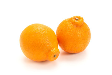 しらぬひオレンジ