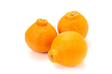 しらぬひオレンジ