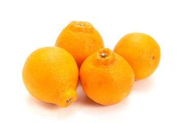 しらぬひオレンジ