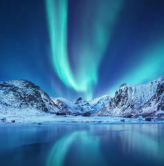 Aurora borealis on the Lofoten islands, Norway. Green northern lights above mountains. Night sky...