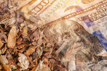 Tobacco with hundred dollar bills of the United States and flare. The concept of business on tobacco.