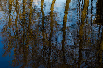 Trees are reflected in the water. Spring landscape. Spring has come, melting snow.