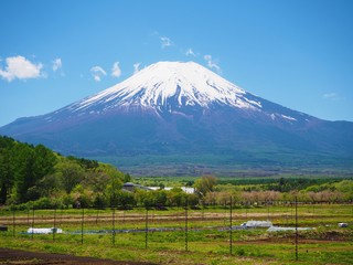 富士山と田園風景