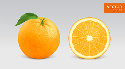 Realistic fresh orange vector illustration, icon. Whole and half slice of orange