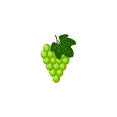 Fresh bunch of green white grade of grapes icon on white background. vector illustration in flat style