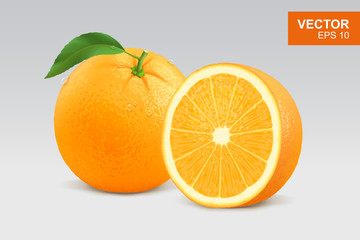 Realistic orange vector illustration, mockup. Whole and half slice of orange