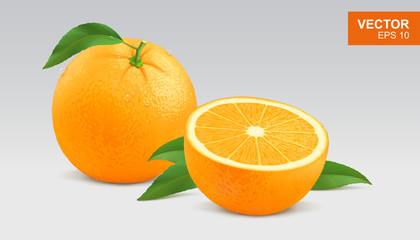 Realistic yellow orange vector illustration, icon. Whole and half slice of orange