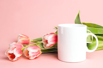 Fototapeta na wymiar White coffee mug with tulip flowers on pink background. Space for text or design.