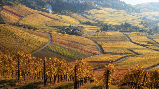 Goldener Oktober, Weinberge Chapel on W&uuml;rttemberg hill with vineyard in fall, golden color, Untert&uuml;rkheim, stuttgart, baden-w&uuml;rttemberg, germany