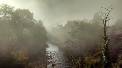 Fototapeta na wymiar The Fog