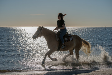 Obraz na płótnie Canvas girl riding on haflinger horse in the sea