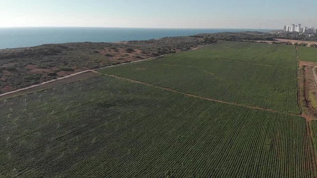 ow aerial flyover of lush green fields with field machines, Israel