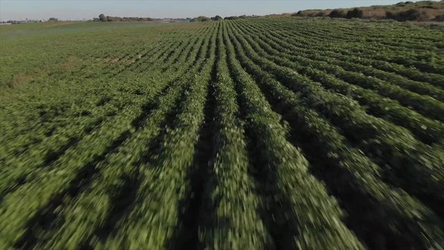 ow aerial flyover of lush green fields with field machines, Israel