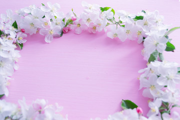 Flowering apple tree branches on a pink wooden background