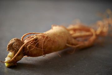 Korean ginseng root 