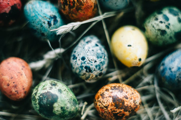 Quail Easter eggs in a basket on the hay. Easter concept