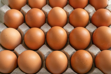 Eggs in the egg tray