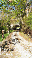 Viella y el río Garona, Valle de Arán, Lleida, Catalunya, España