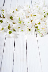 cherry blossom spring background, white wood