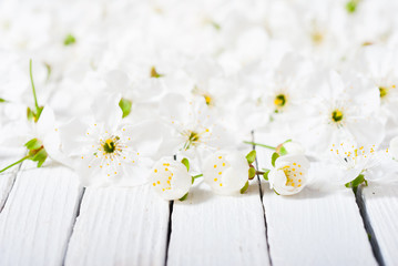 cherry blossom spring background, white wood