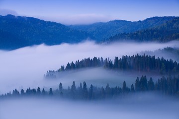 Fototapeta na wymiar Scenic Landscape view with Soft light in morning beautiful sunrise, cloudy and foggy sea of wave fog look like around the mountain at High Tatras, Slovakia. beautiful landscape of the mountain