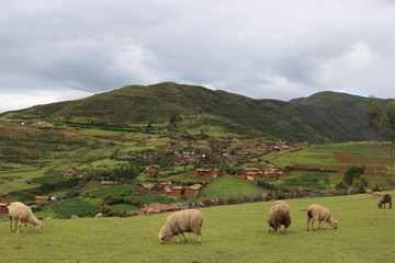 小高い丘の田園風景
