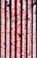 abstract fractal background