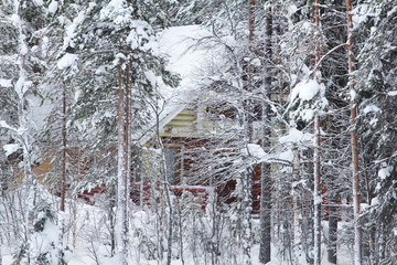 snowy house in the winter forest