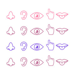 Sight, smell, hearing, touch, taste icons vector. Five senses icon set