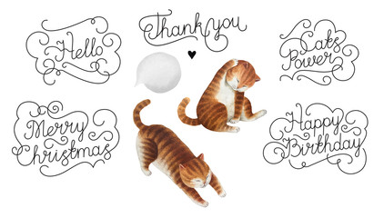 Set of watercolor cats