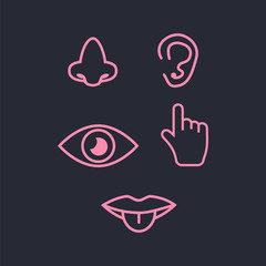 Set of icons of the five human senses.