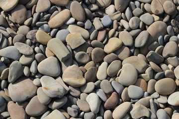 Sea pebbles on the beach, lots of small smooth round stones.