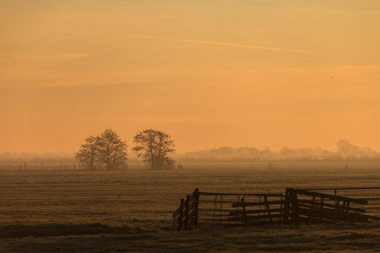 Open field landscape with wooden fence and row of trees on a foggy horizon and orange yellow hazy sky
