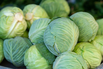 Green cabbage for sale at a farmer's market stall