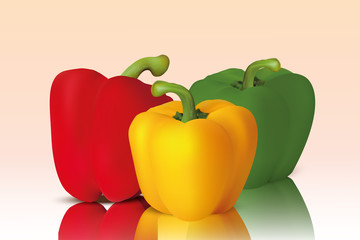 Three Set of Realistic Paprika Vector Design