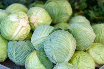Green cabbage for sale at a farmer's market stall