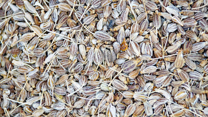 Hierbas y semillas para infusiones