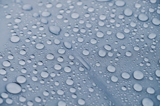 Water Drops Texture Background. Closeup Raindrop on Umbrella. Rainy Day Protection. Macro Shot