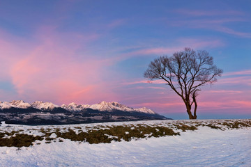 Panoramic view of beautiful winter wonderland mountain scenery in evening light at sunset. Carpathian mountains above the clouds. Christmas and New year. 