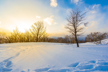 Beautiful landscape with mountain around tree in snow winter season at sunset time