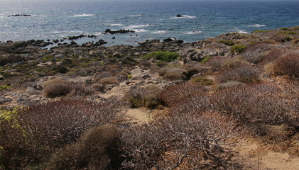 2018 Greece, Crete, Elafonisi.