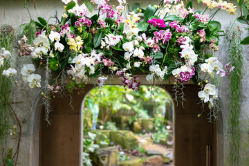Fototapeta na wymiar Beautiful colorful flower top of archway arangement made of orchid flowers