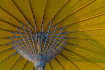 Yellow umbrella Wood