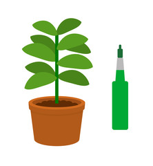 観葉植物と栄養剤